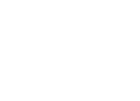 Edinburgh 900 year celebration logo